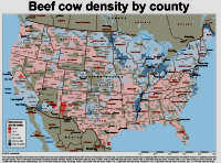 Beef Cow Map USA by County